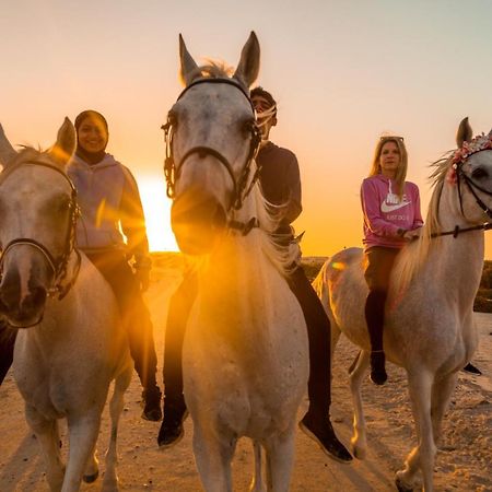 Pura Eco Retreat, Jubail Island 호텔 아부다비 외부 사진