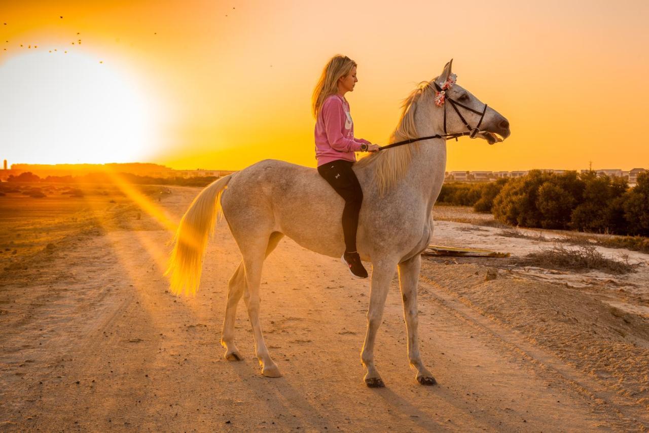 Pura Eco Retreat, Jubail Island 호텔 아부다비 외부 사진